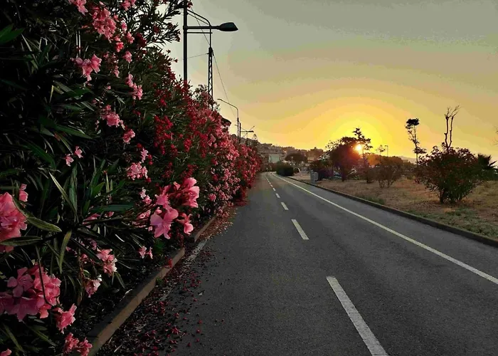 Casa Thomas Apartman San Remo